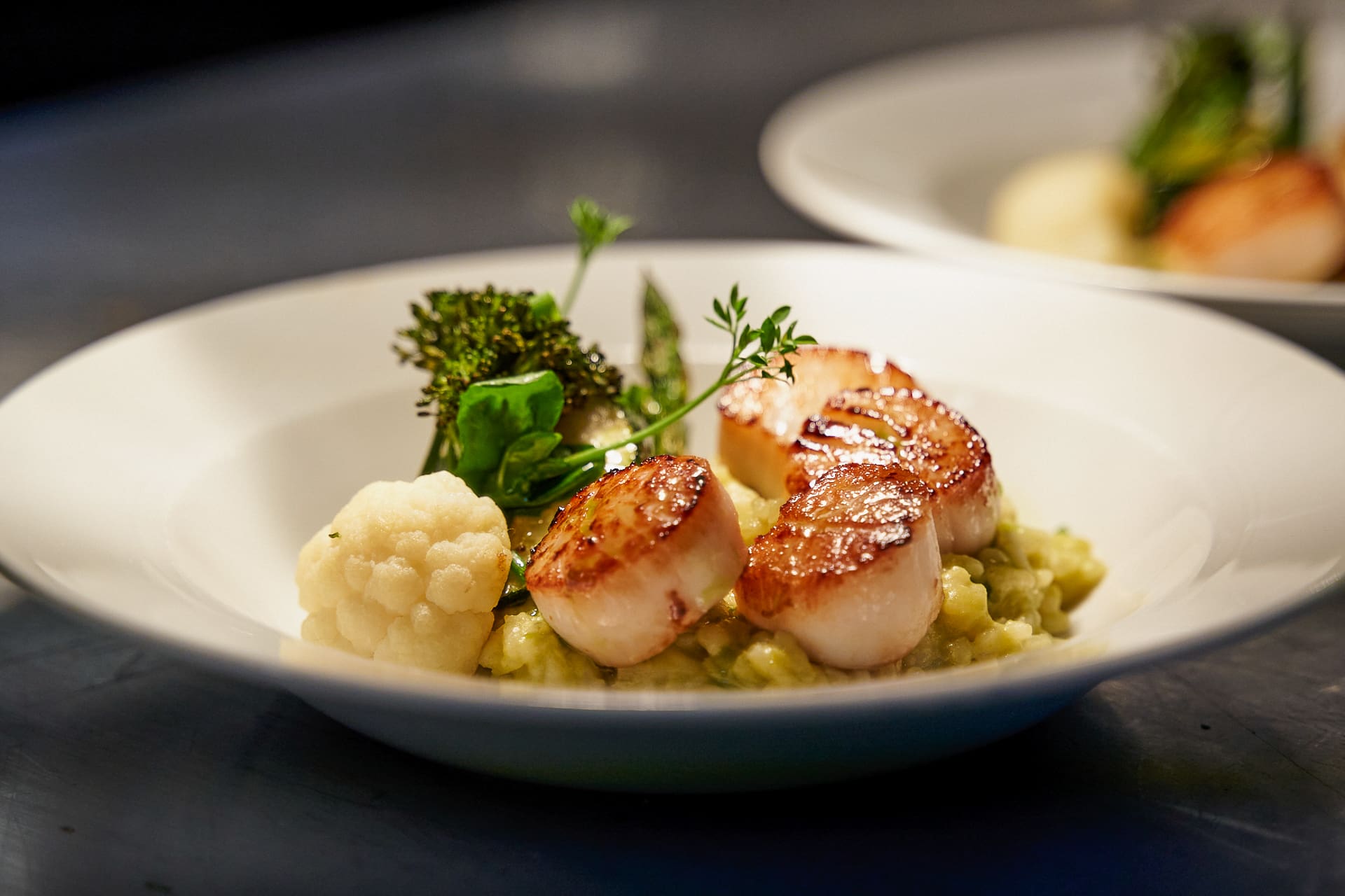 Scallops with vegetables – Restaurant Skagefla